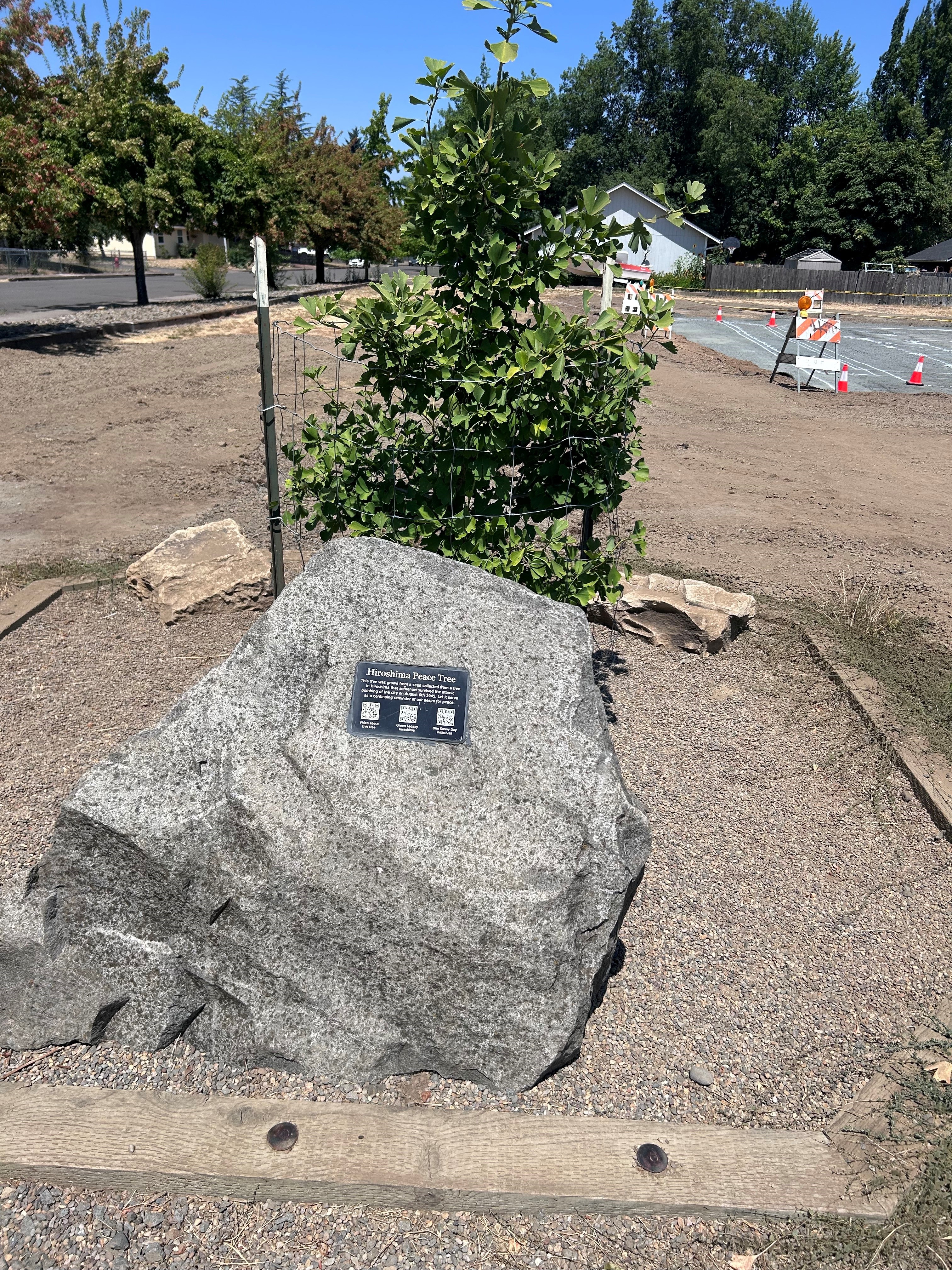 Image of Creswell's Hiroshima Peace Tree