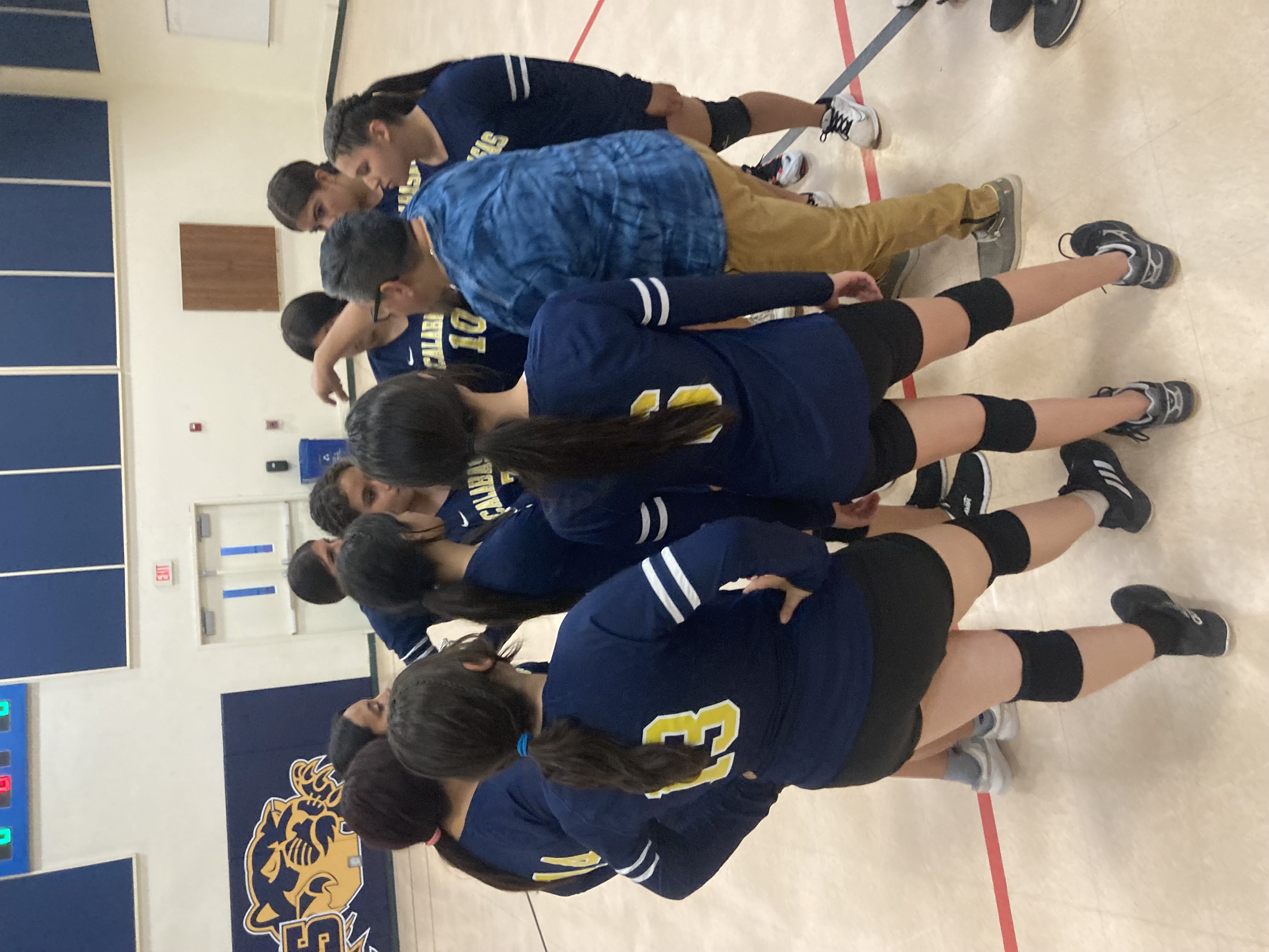 Volleyball team huddled