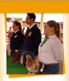 students with chickens