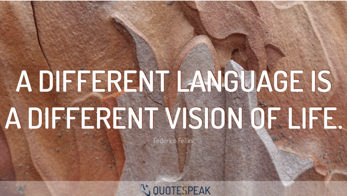 A different language is a different vision