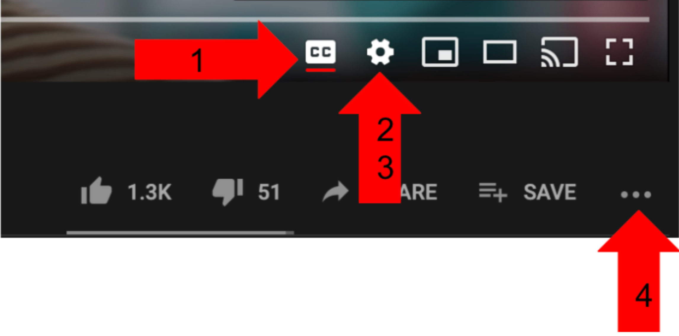 YouTube is helpful for working with ELs