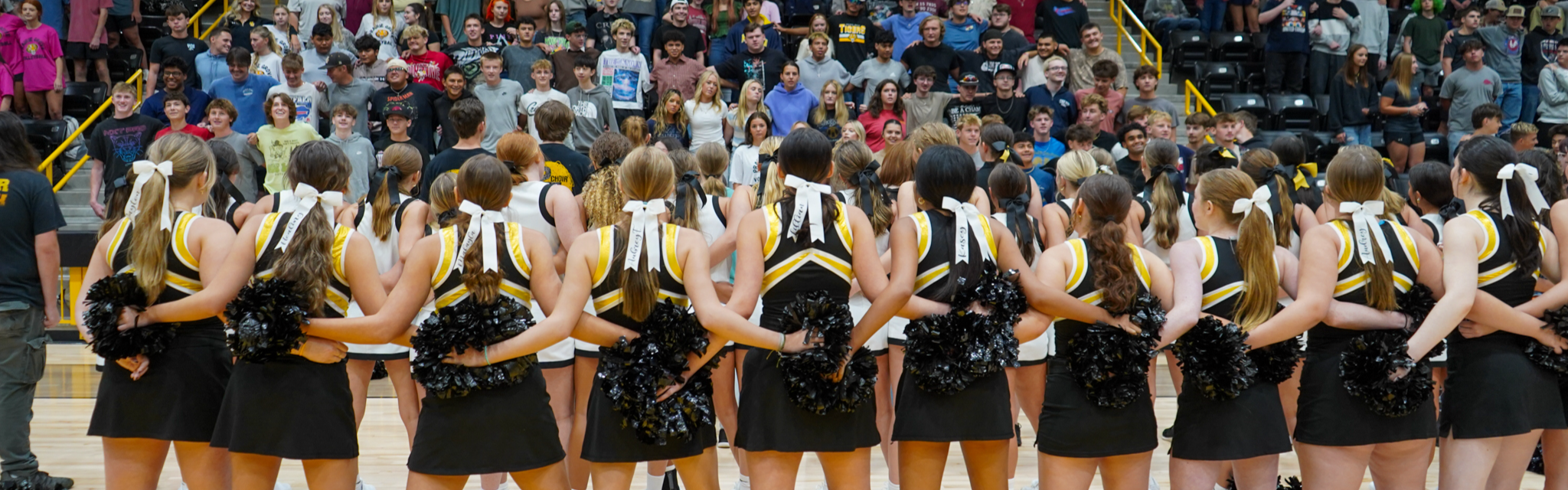 tiger spirit 