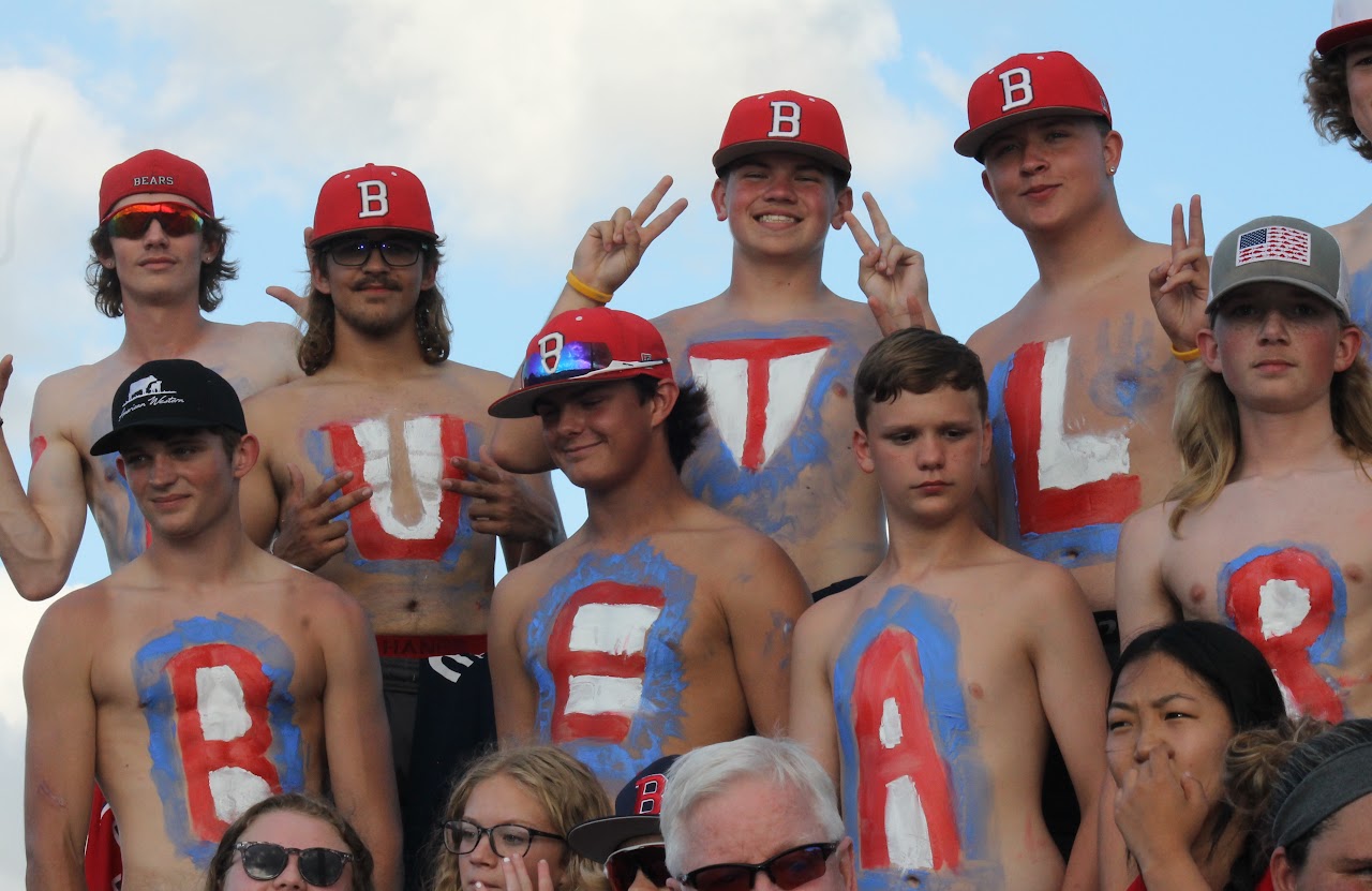 baseball fans in the stadium watching