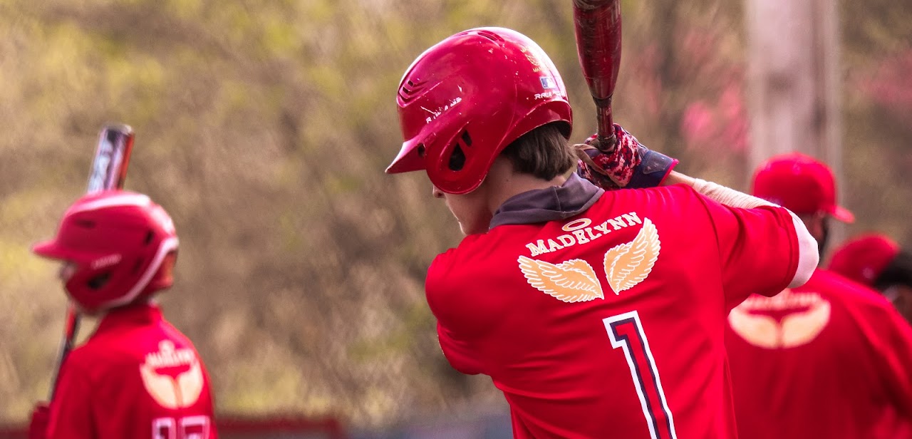 player with the bat picture from behind