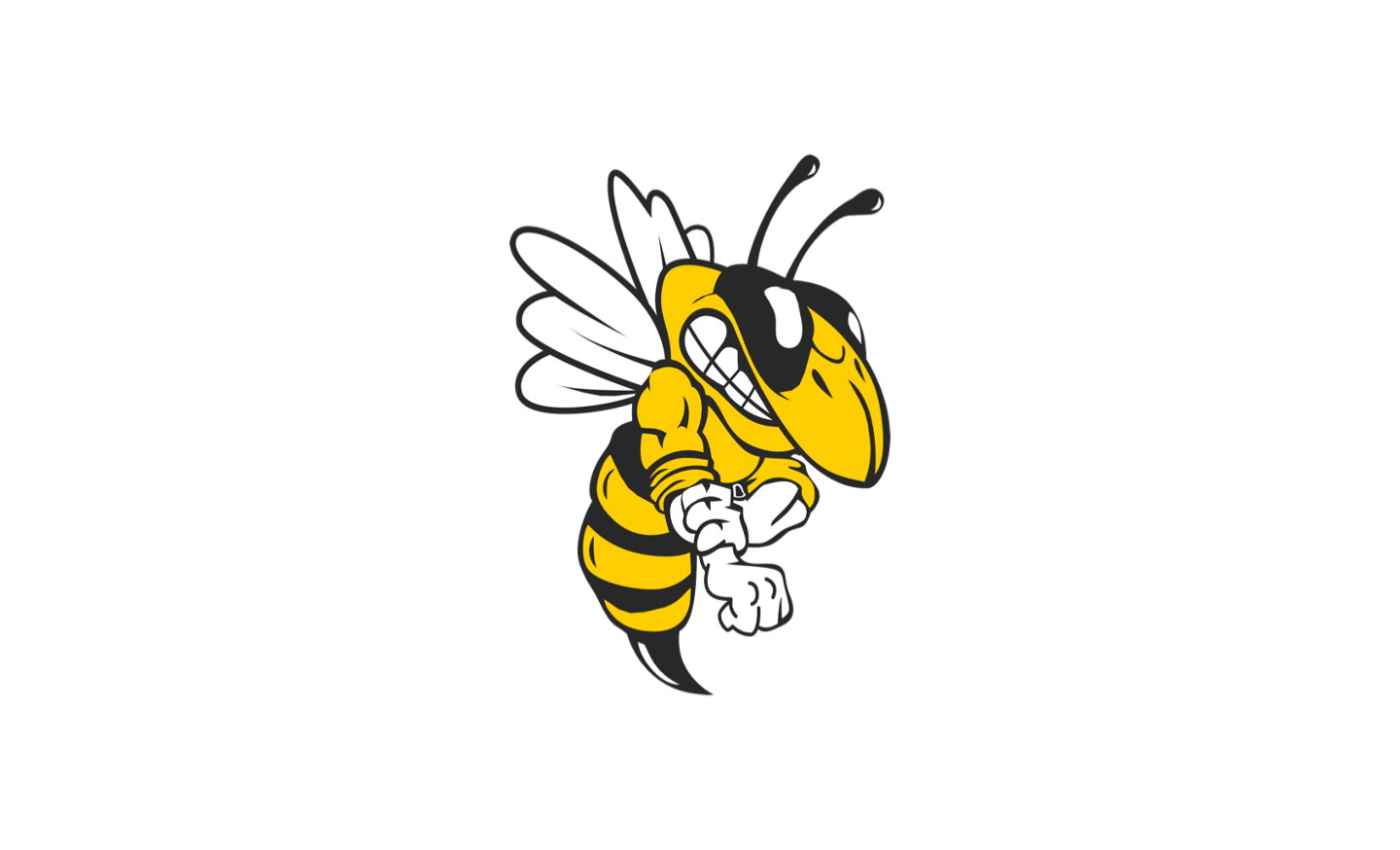 Central High Bee Mascot