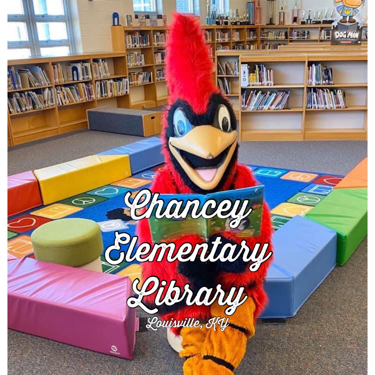 school mascot in the library
