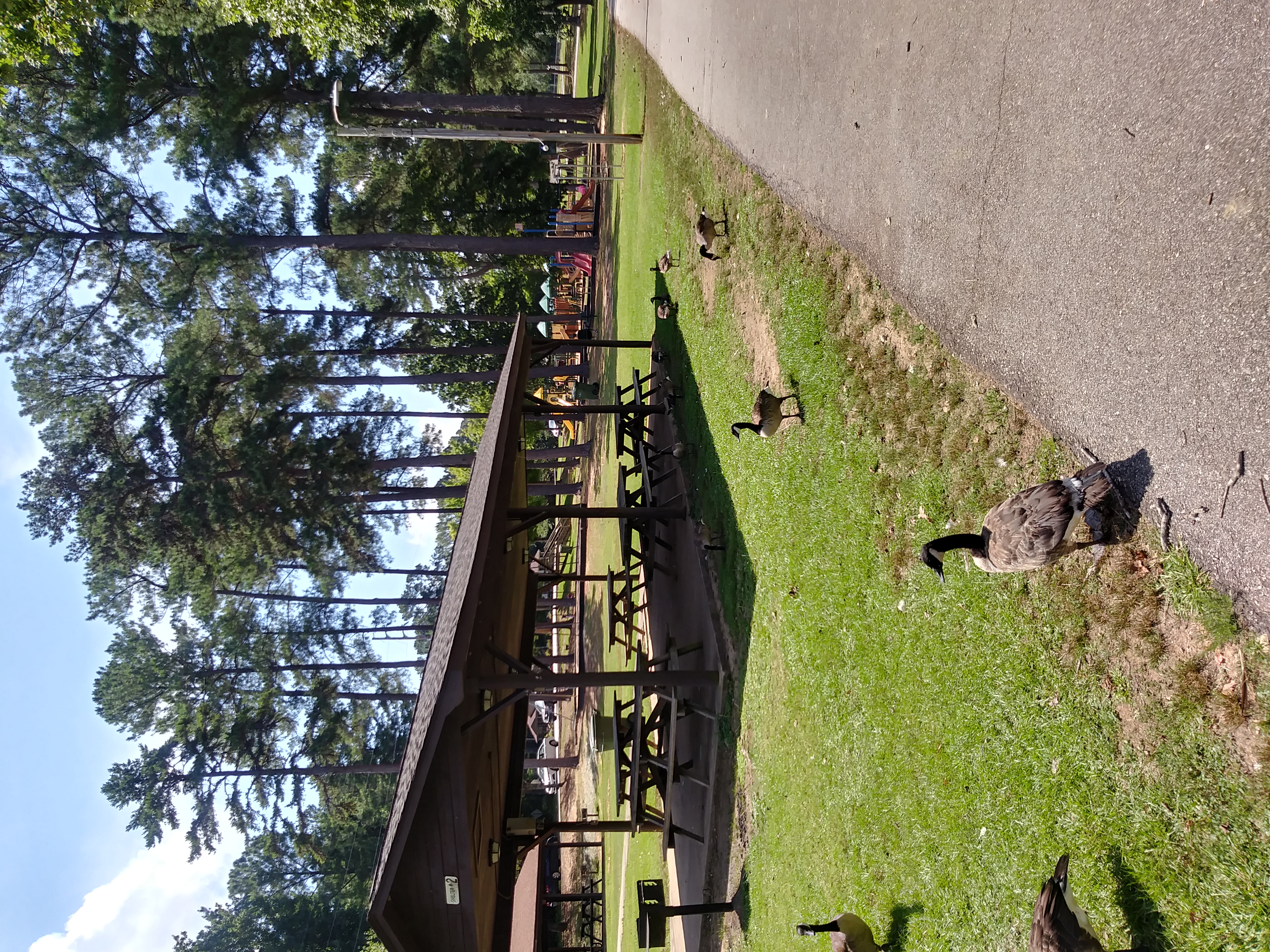Foster Park/Veterans Park
