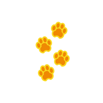 Paw Prints