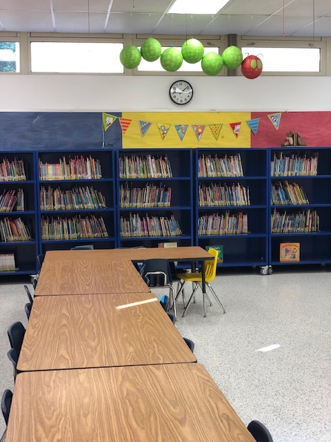 Library Highland Primary School