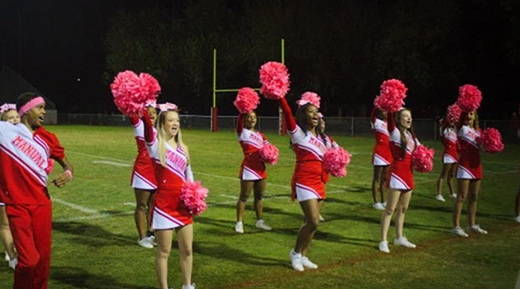 A cheerleading team posing with pom poms and flags on a football field at night.