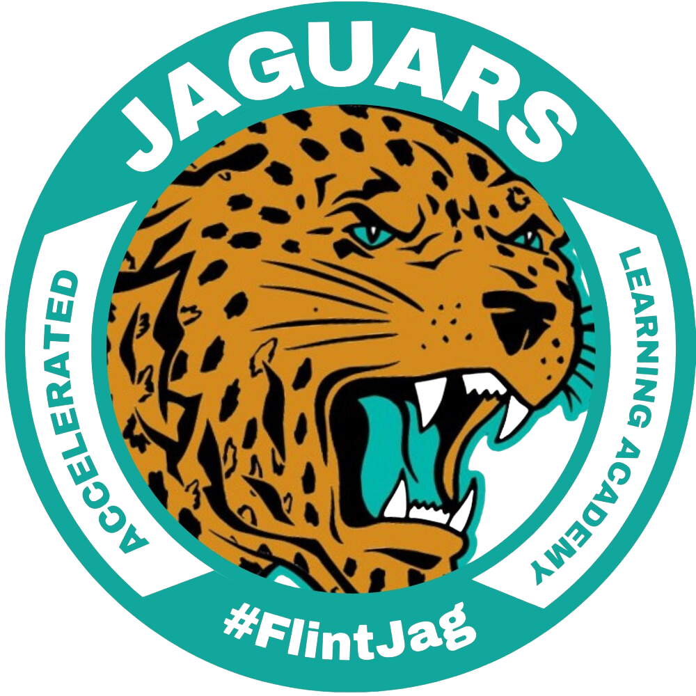 Home Accelerated Learning Academy