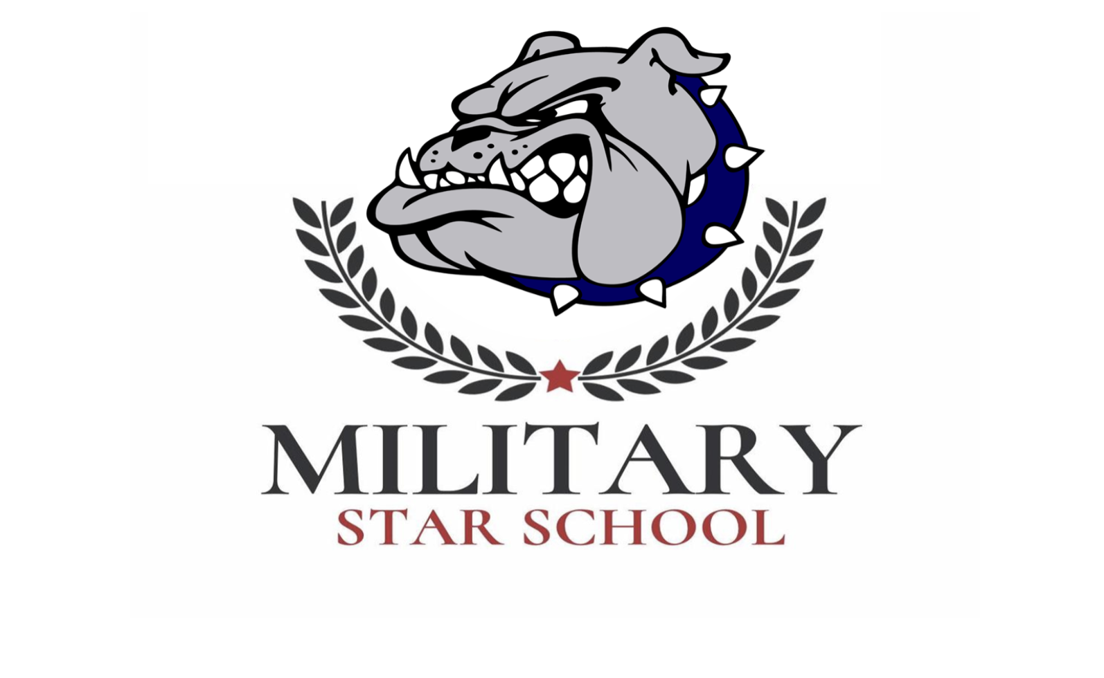 Military Star Logo