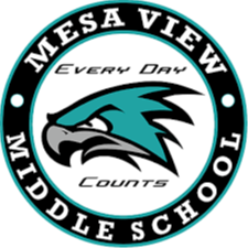 mesa view MS