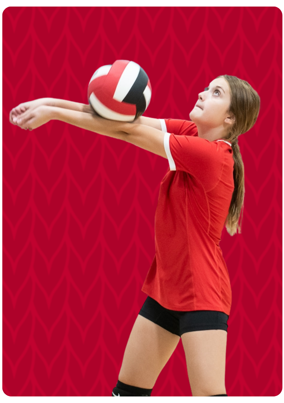 Volleyball Header Image