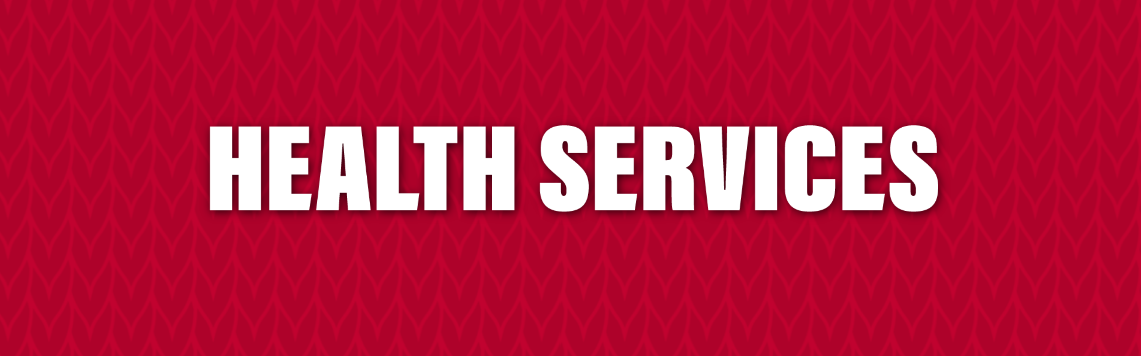 hEALTH SERVICES HEADER