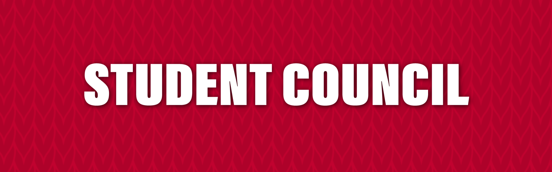Student Council Banner