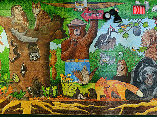 mural photo