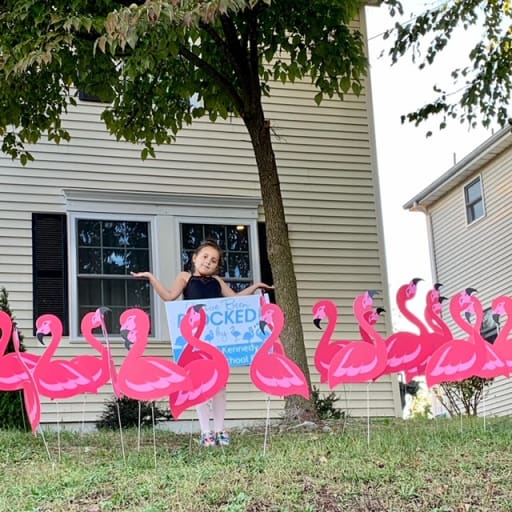 Girl with flocked sign and flamingos