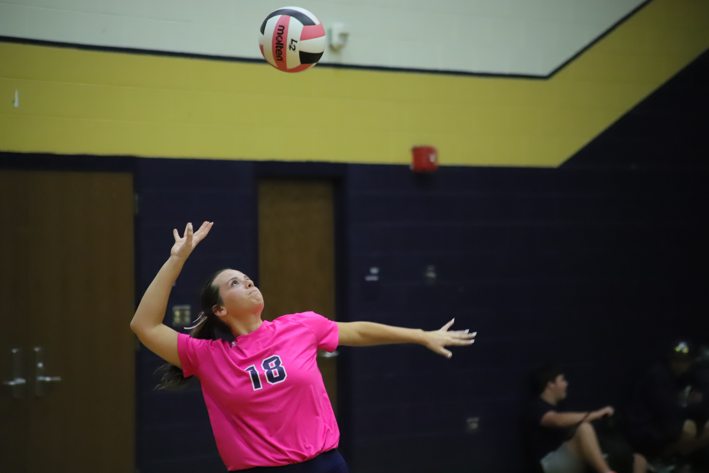 Volleyball Player