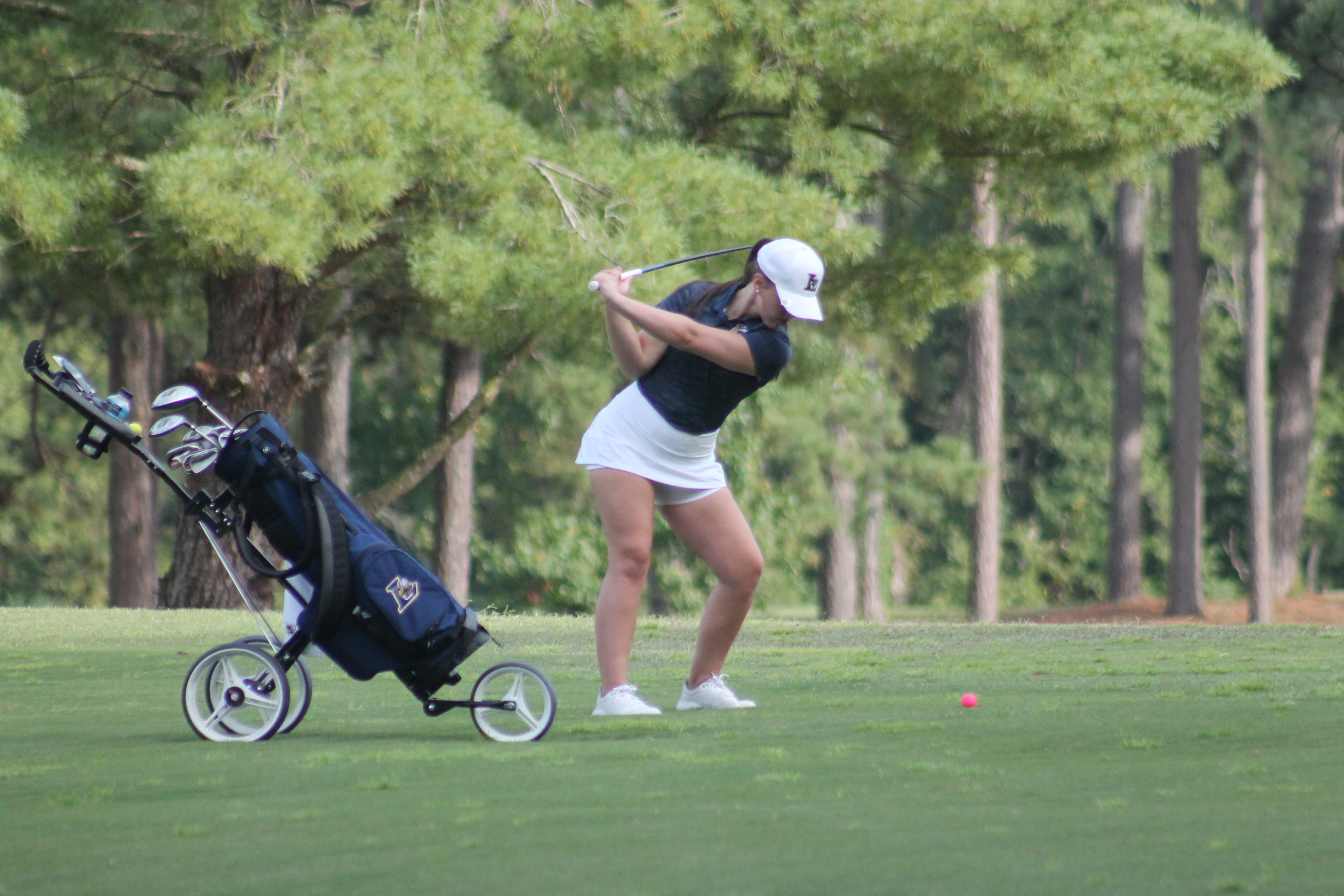 Golfer