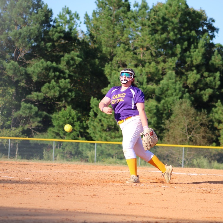 SanLee Softball