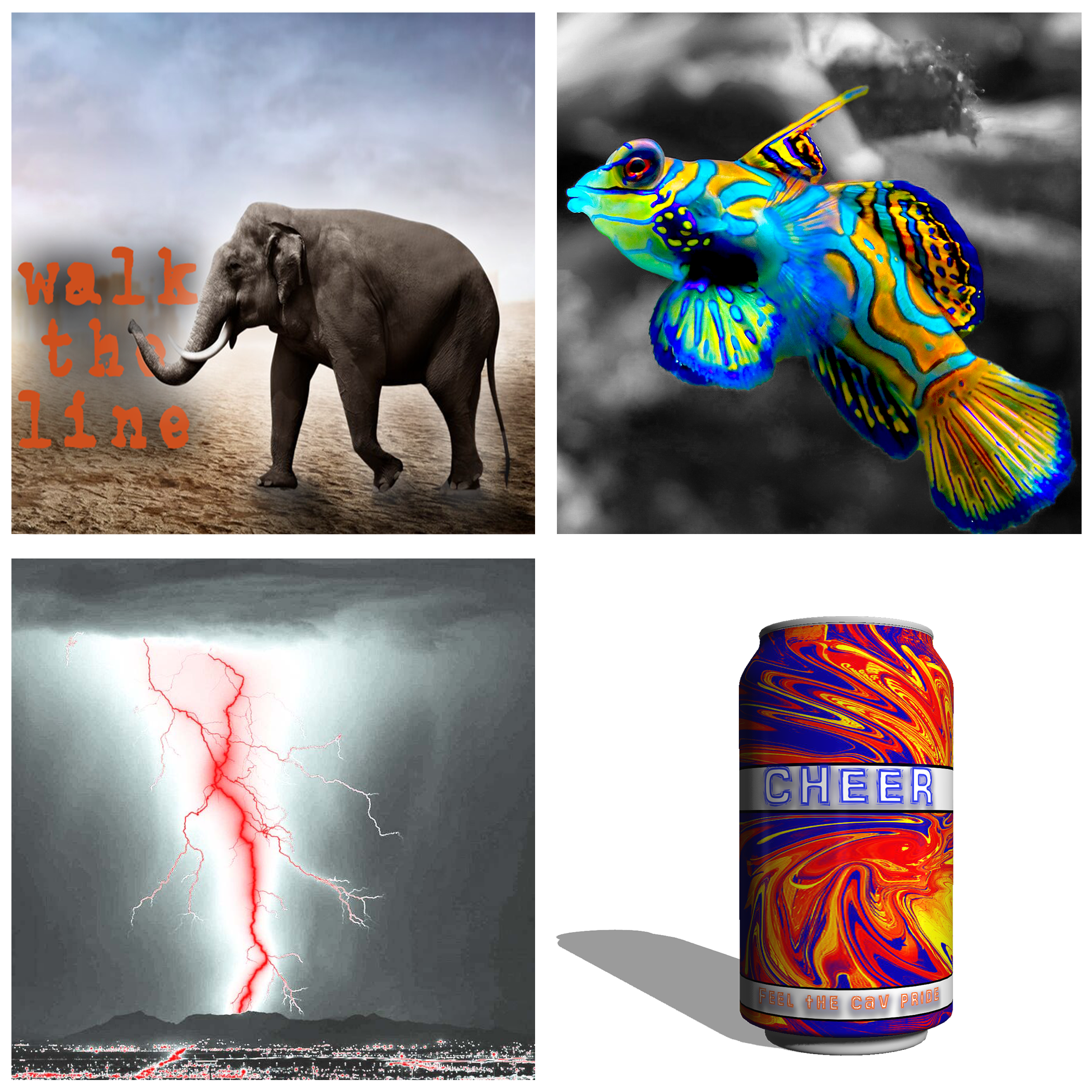 nature and animasl