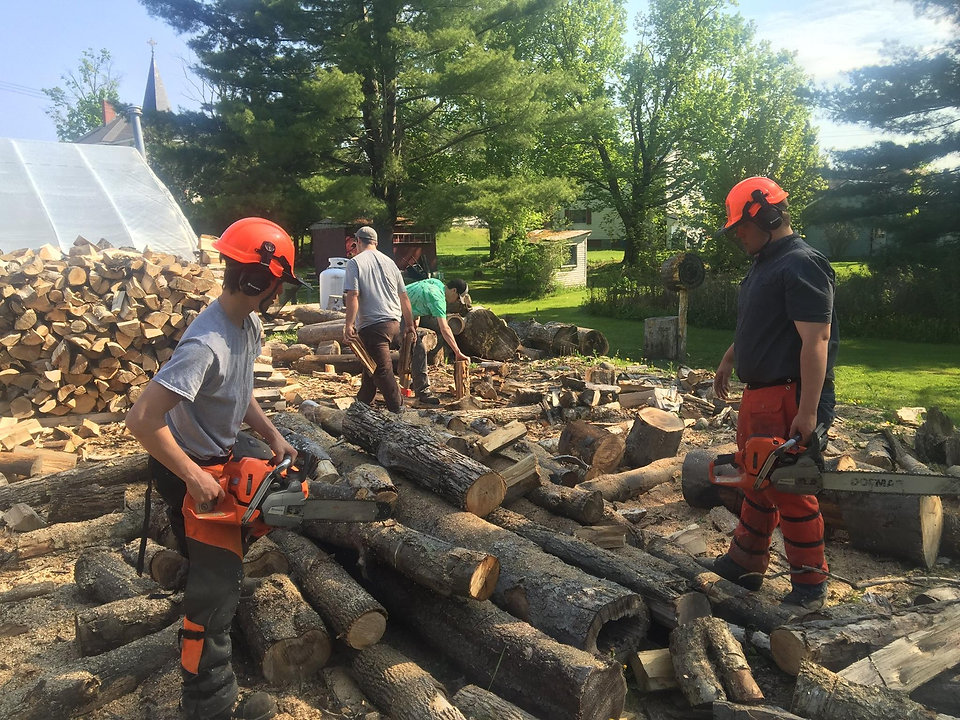 Forestry & Natural Resources