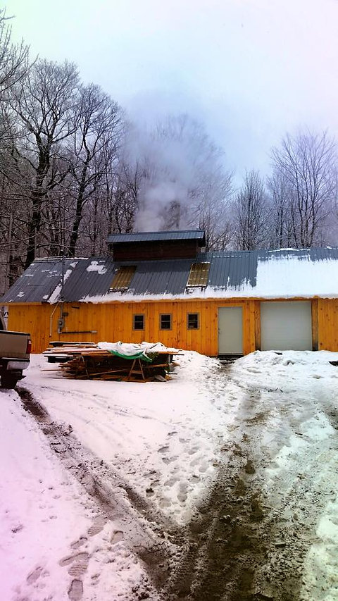 Forestry & Natural Resources