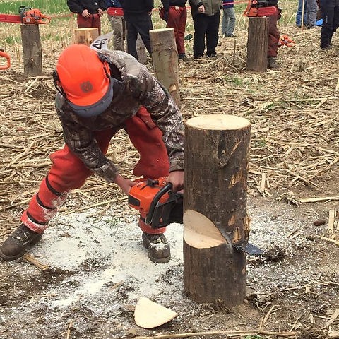 Forestry & Natural Resources