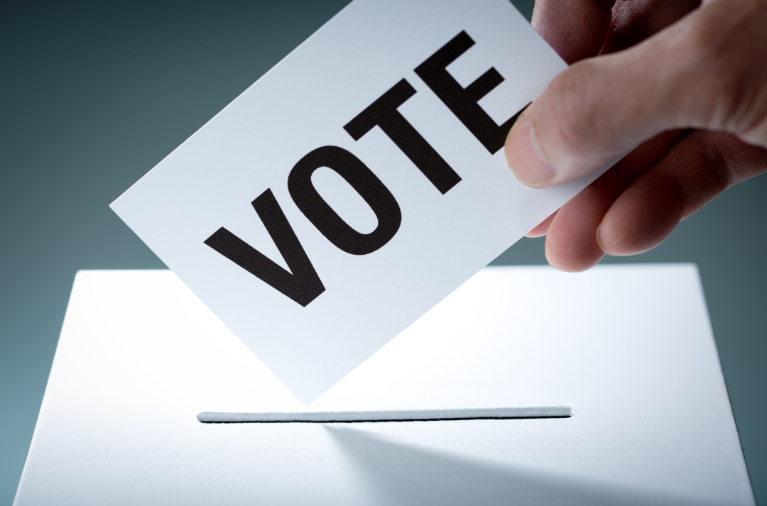 vote wadena