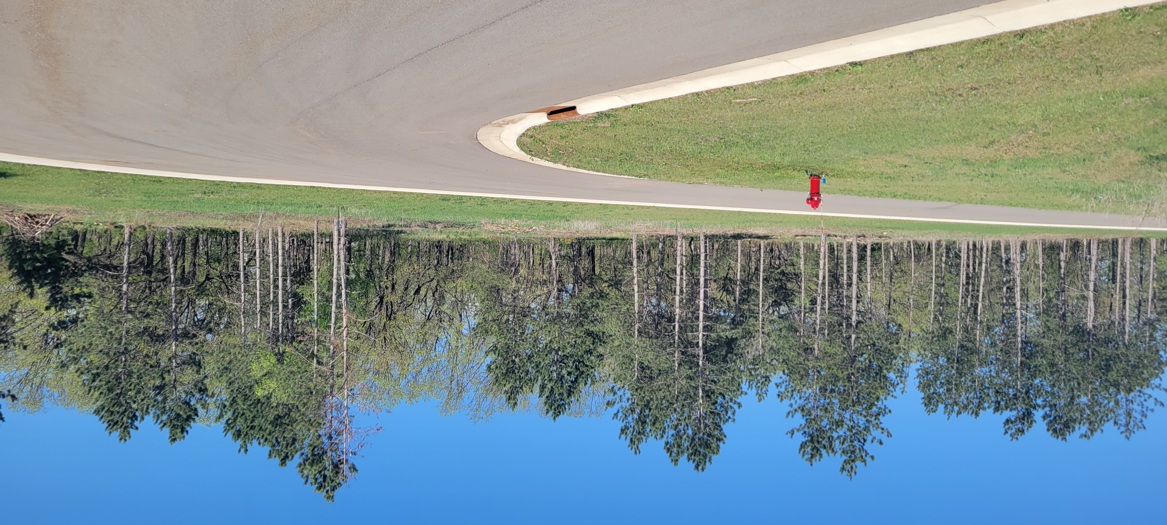 Pinewood Estates Curve in Road