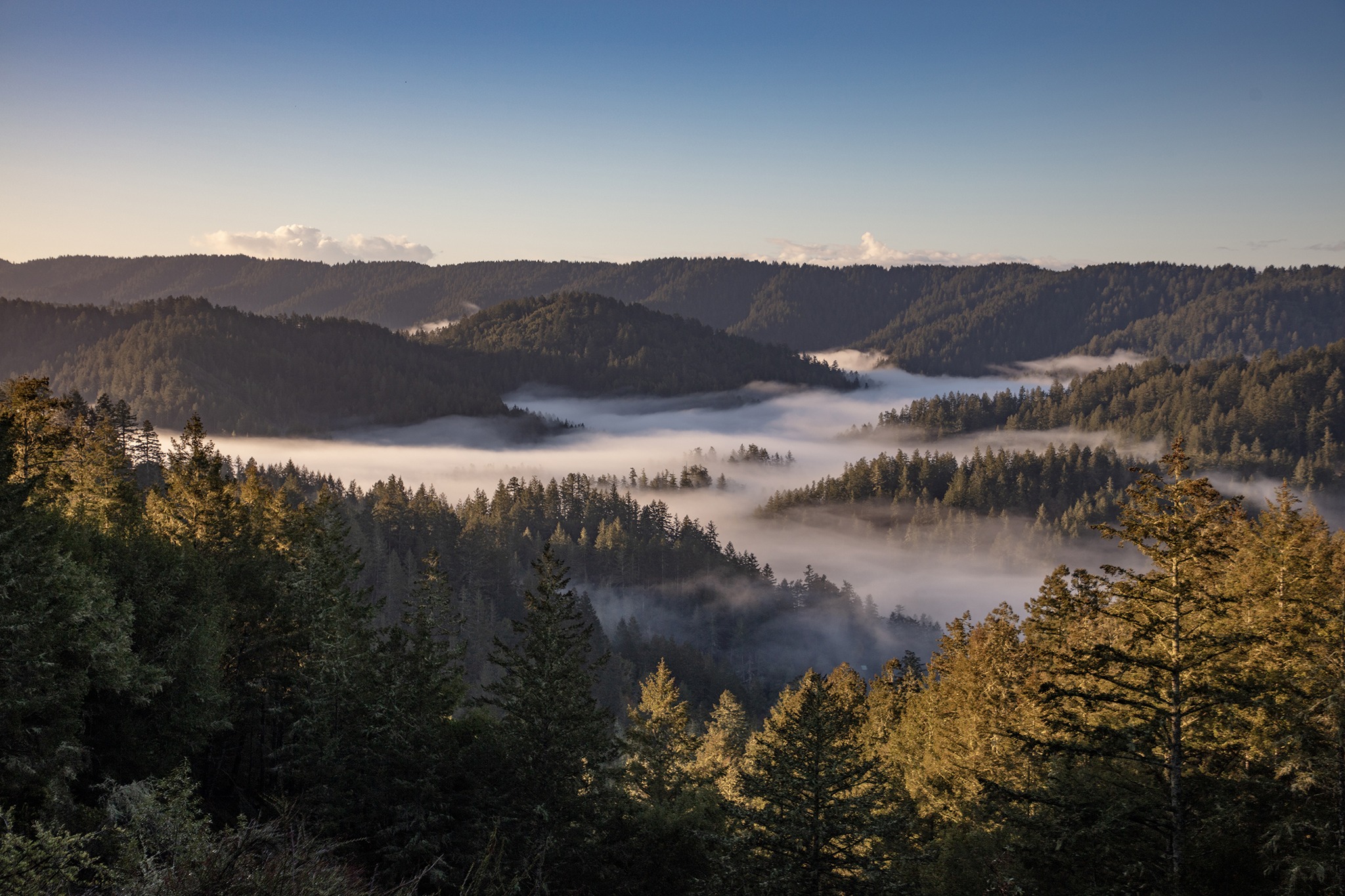 lagunitas foggy morning