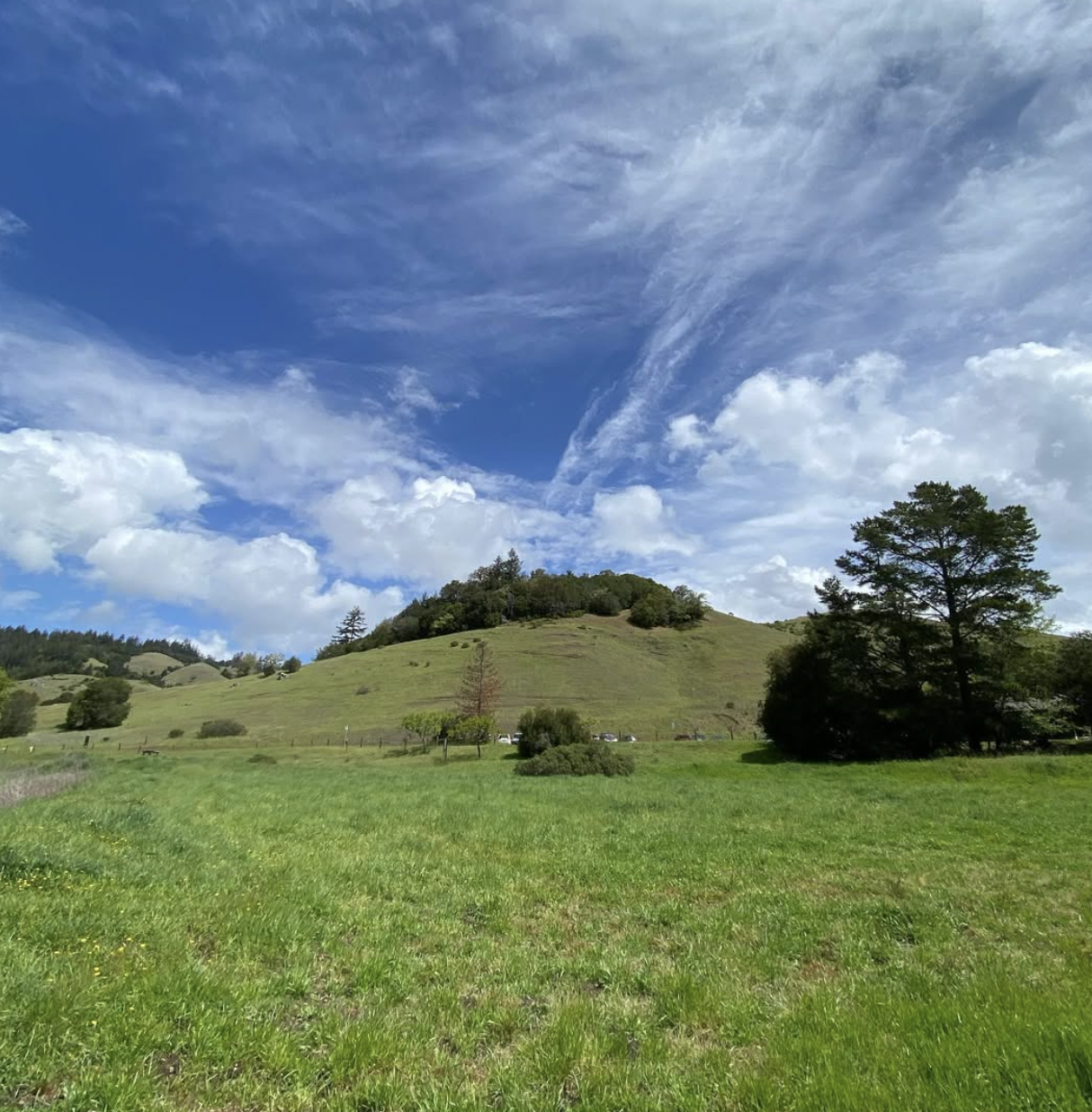 the valley