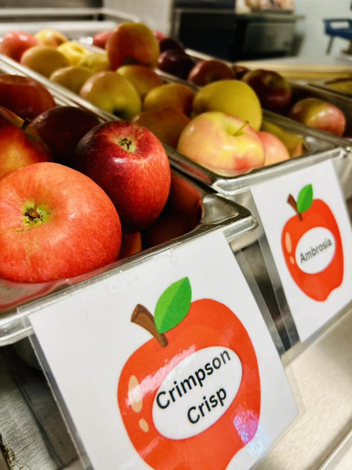 assorted local apples