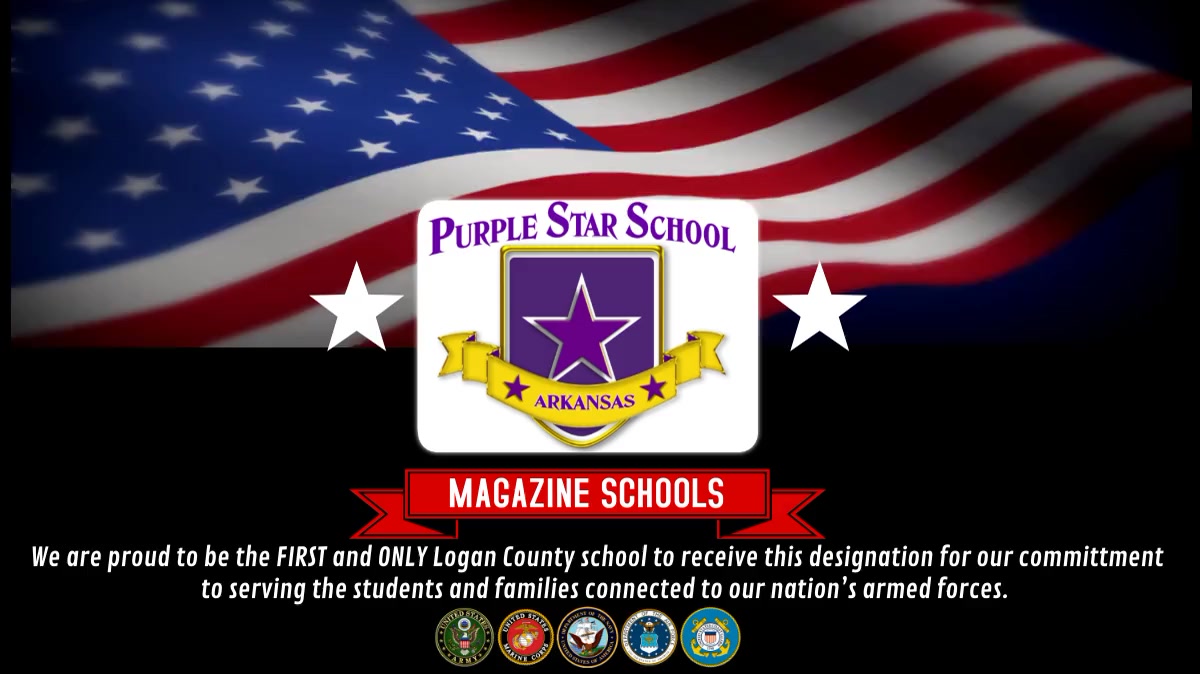 Purple Star Graphic