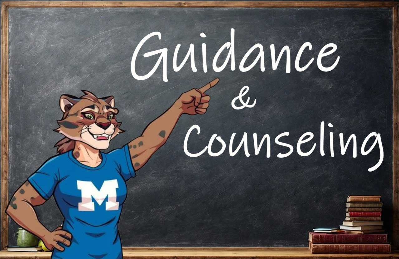 MES Guideance & Counseling