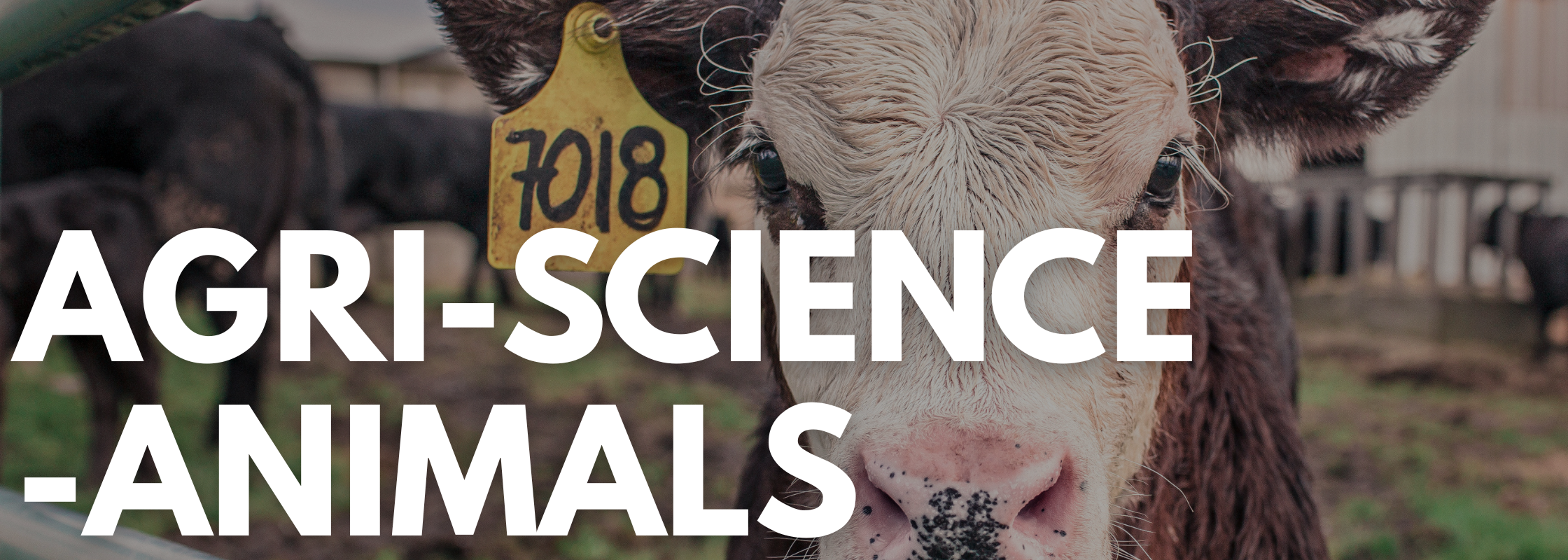Agri-Science (Animals)
