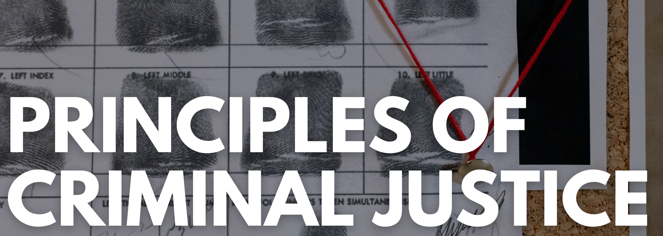 Principles of Criminal Justice