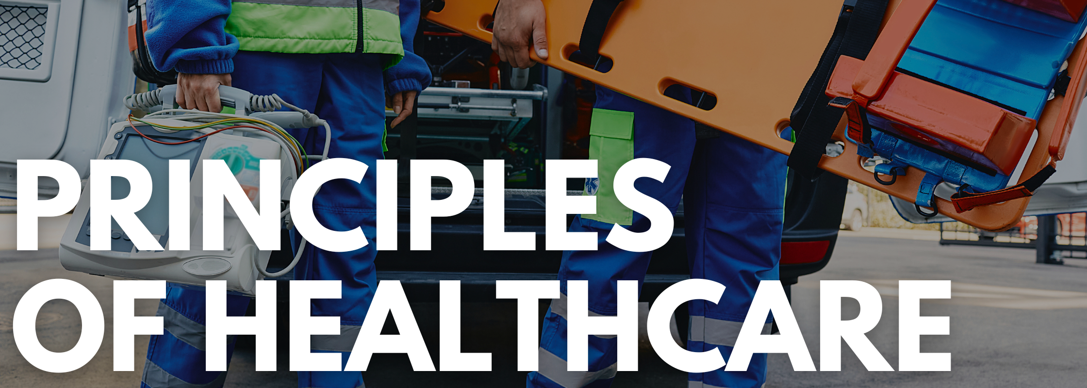 Principles of Healthcare