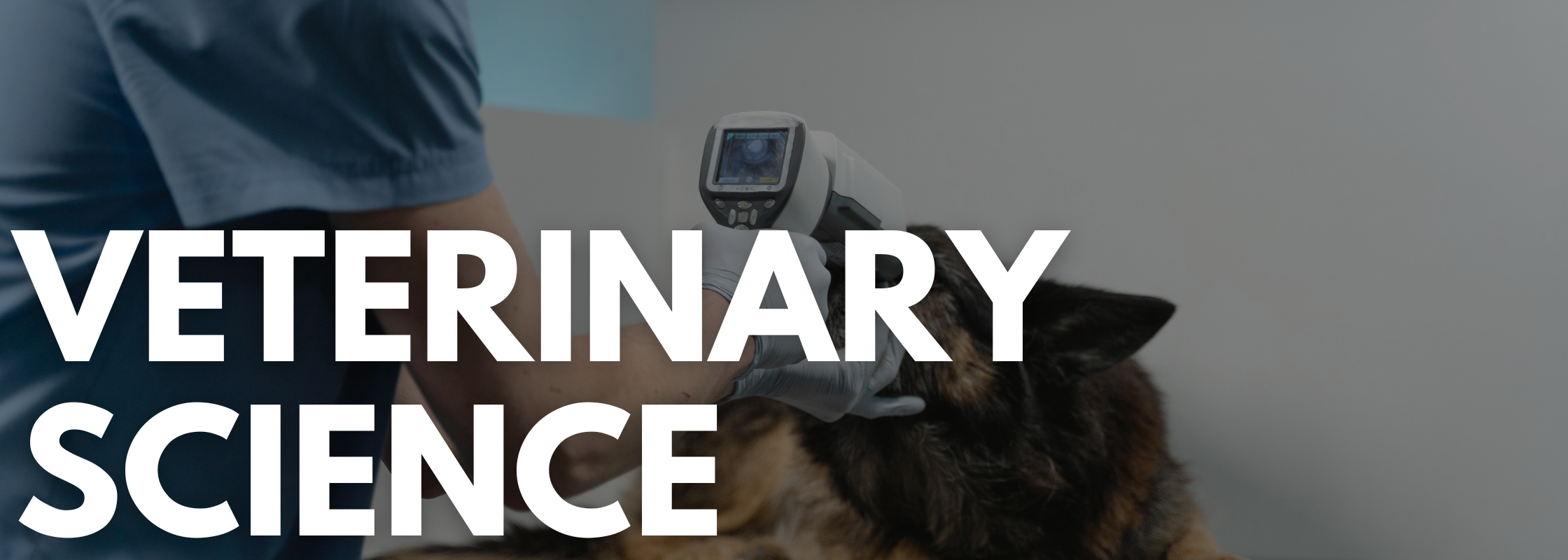 Vet Science