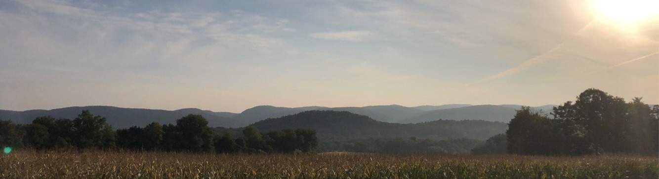 Hills behind cornfield
