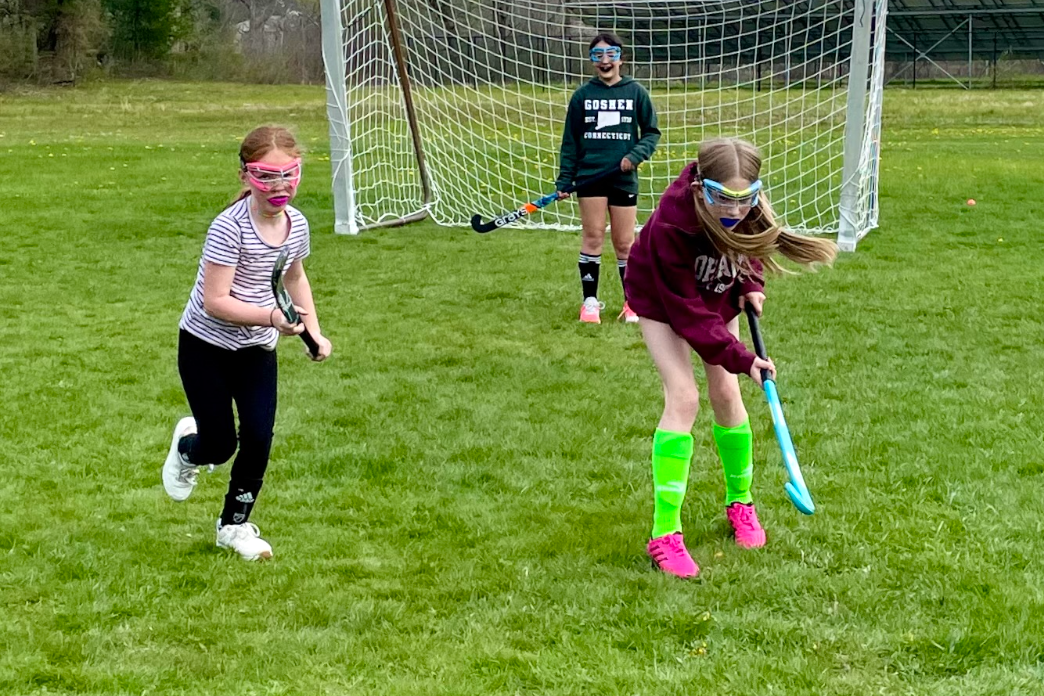 kids playing field hockey