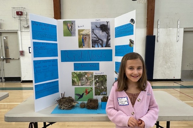 Working hard at the Science Fair.