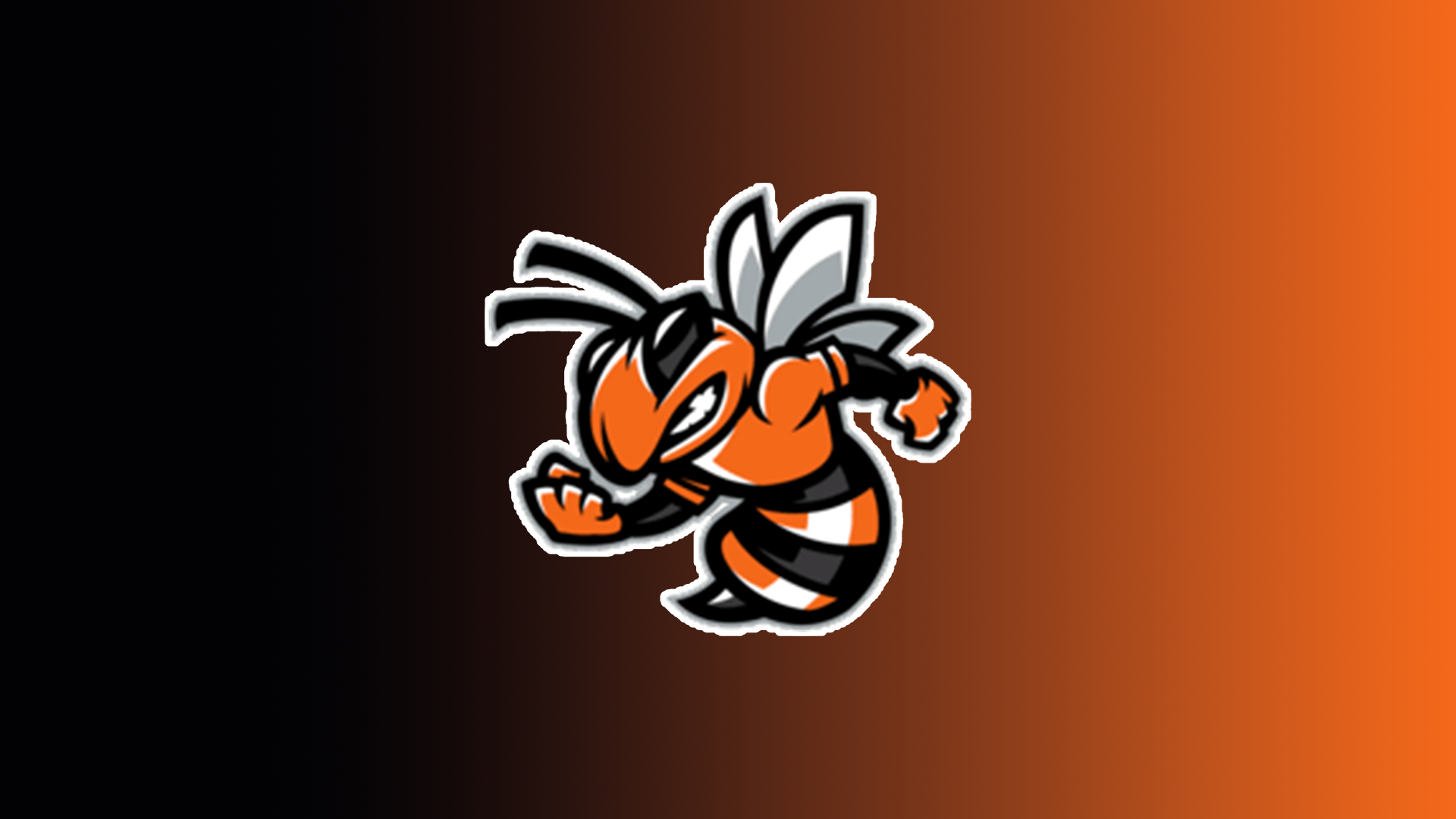 Leesburg High logo