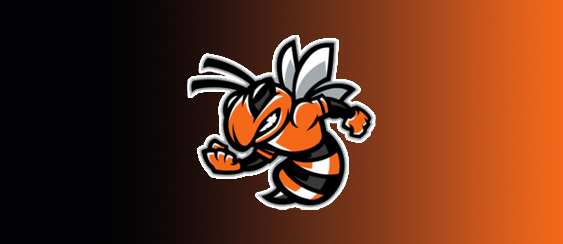 Leesburg High Logo Graphic