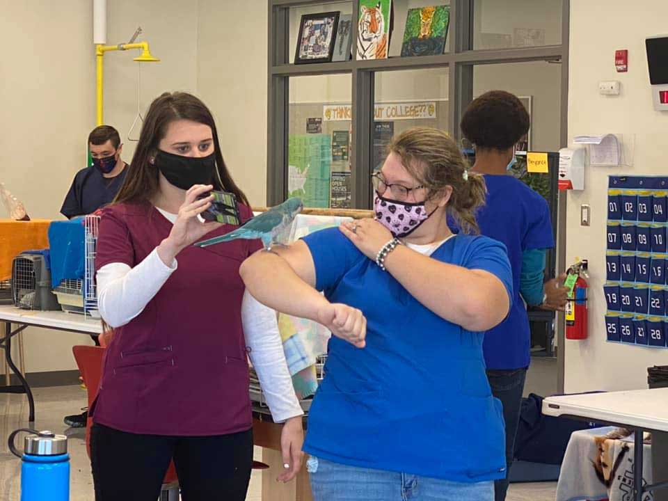 Animal Science