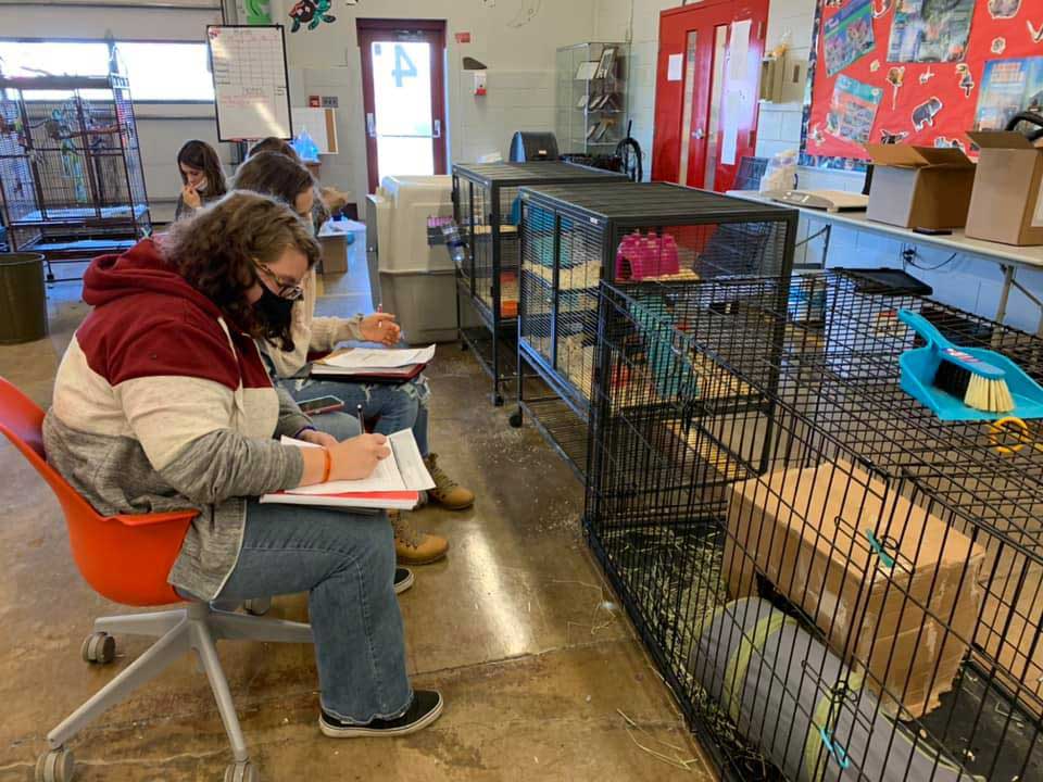 Animal Science