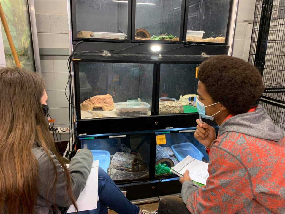 Animal Science