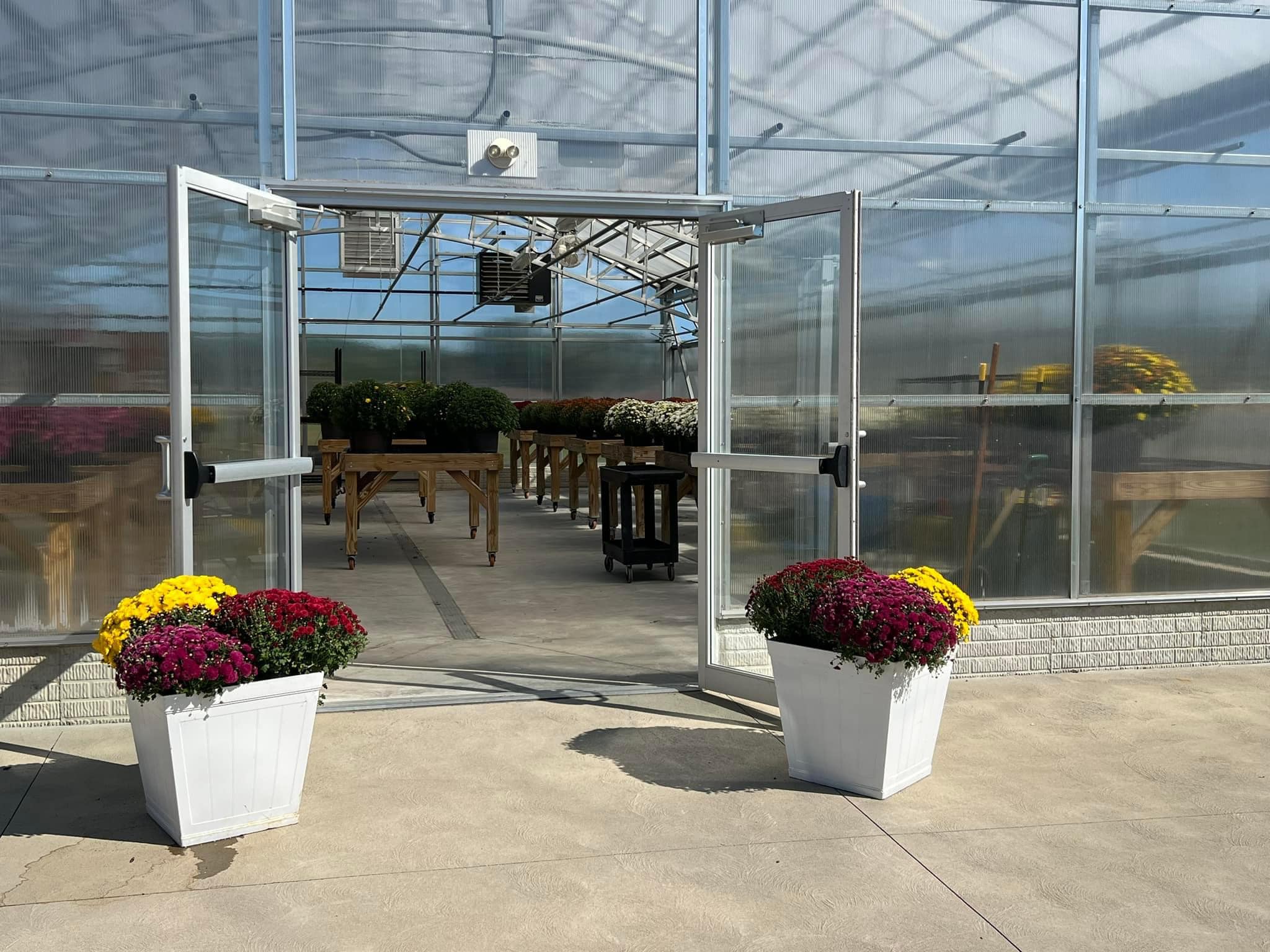 picture of green house