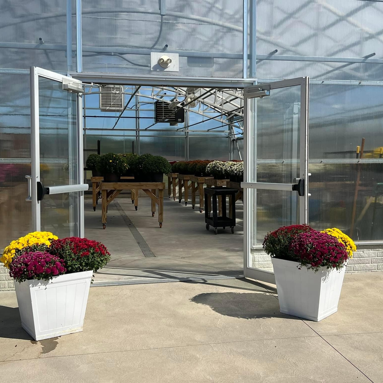 pictures from the snady valley hort program
